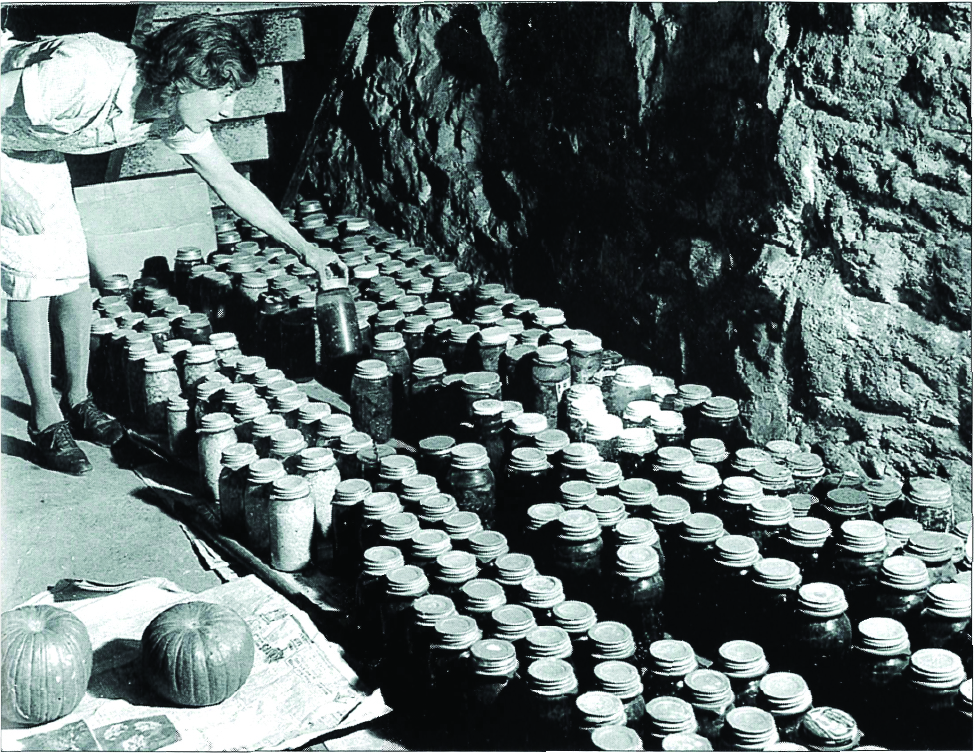 Black-and-white photo of a farmer's wife in Montague inspecting one jar from a group of hundreds of canned goods prepared at their farm. Source: Sussex County - Images of Our Past Volume II, Published by New Jersey Herald (2009)