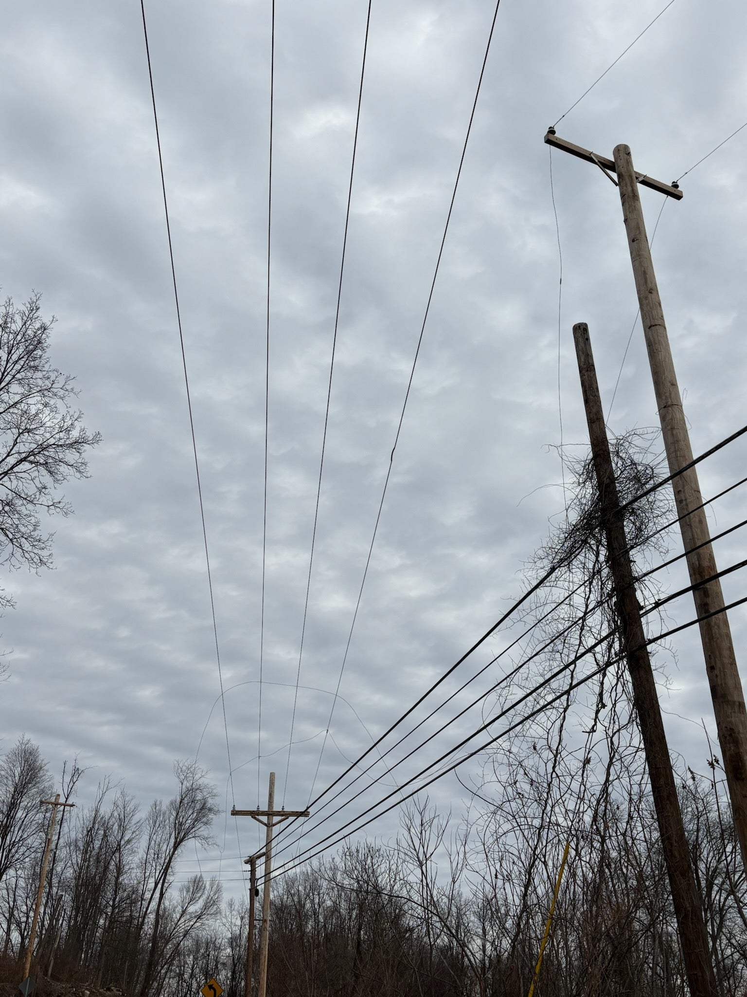 Photo showing a span of three phase wire where a neighboring electric utility's lines have fallen across them
