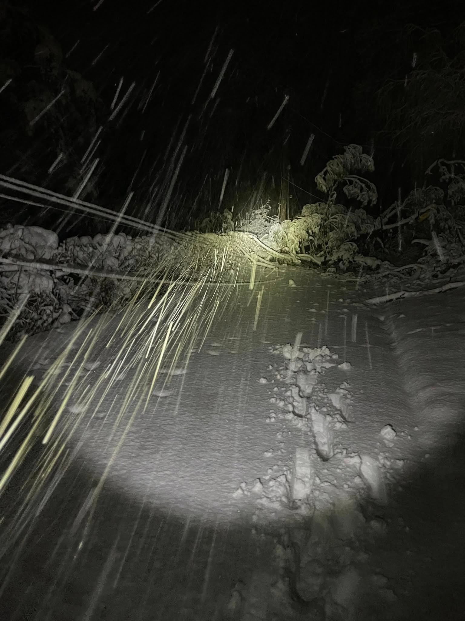 A fallen tree taken down by snowfall lays on top of Sussex REC power lines