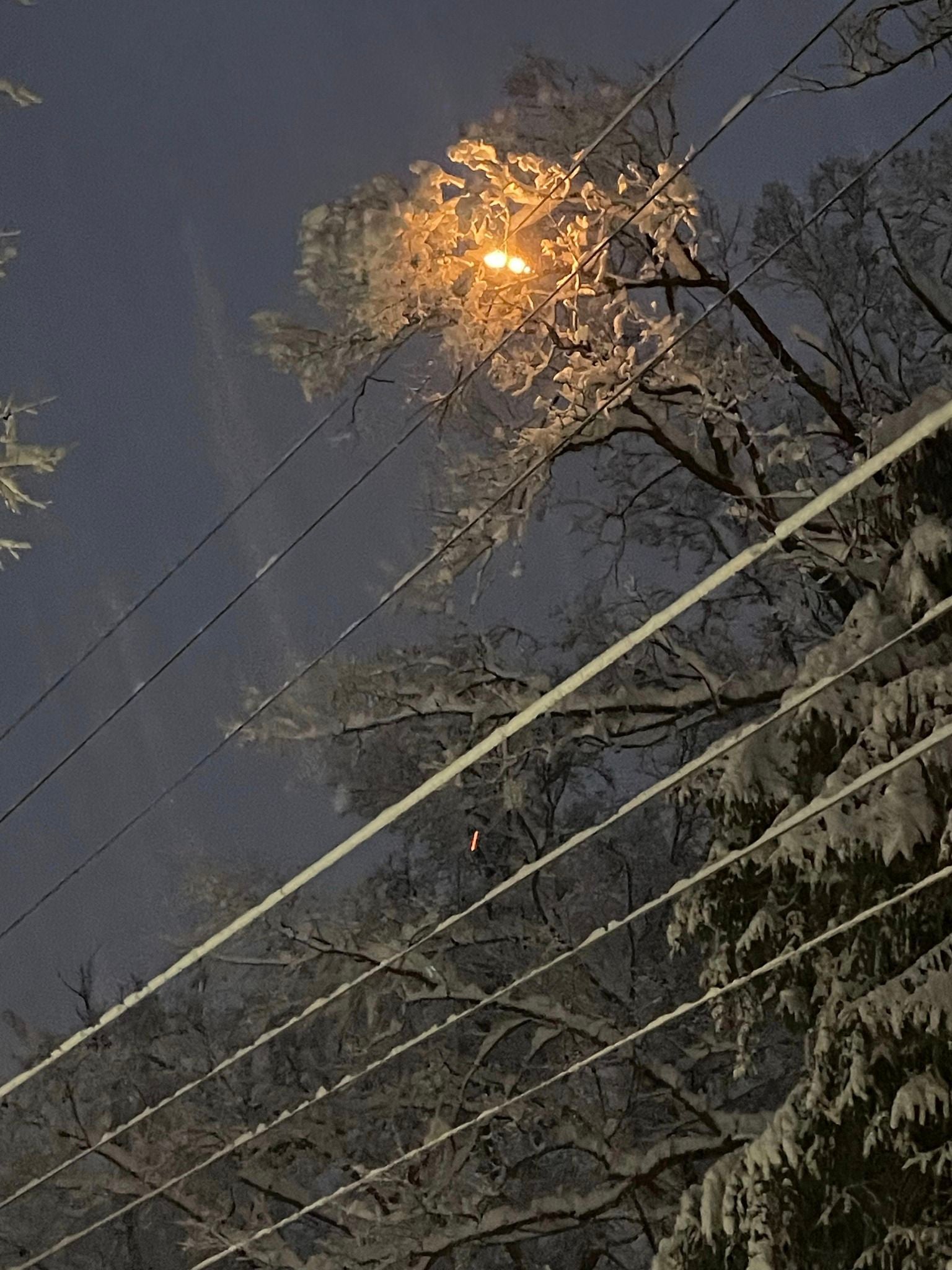 Snow on Sussex REC power lines (11/22/2024)