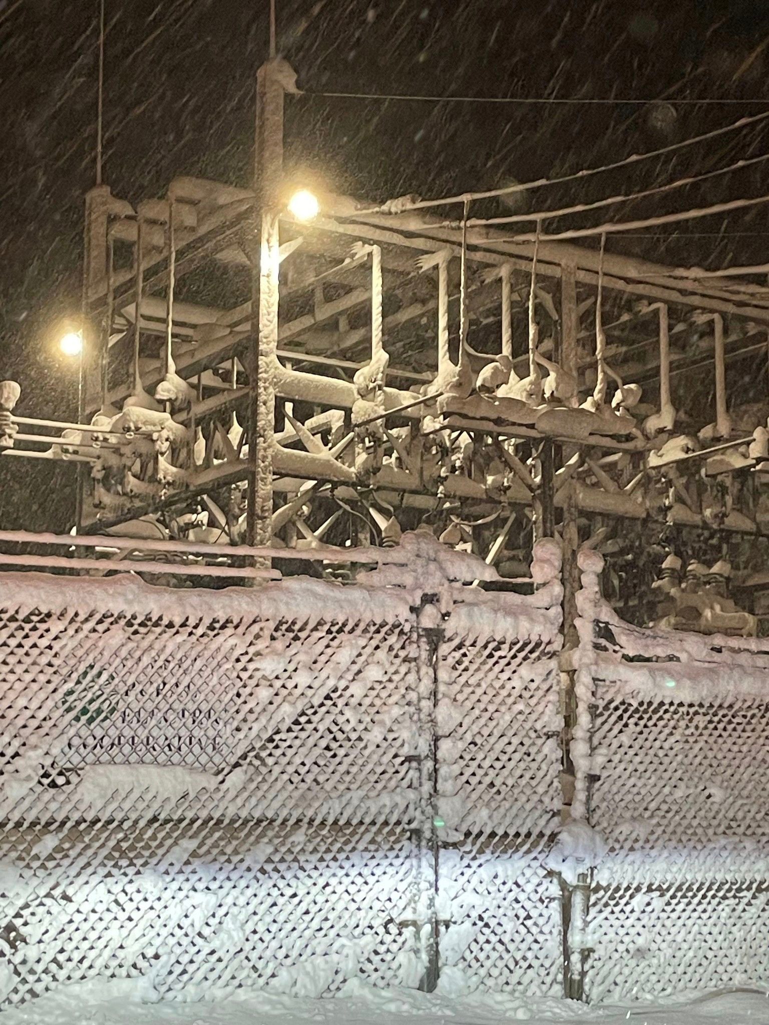 Snow on a Sussex REC substation (11/22/2024)