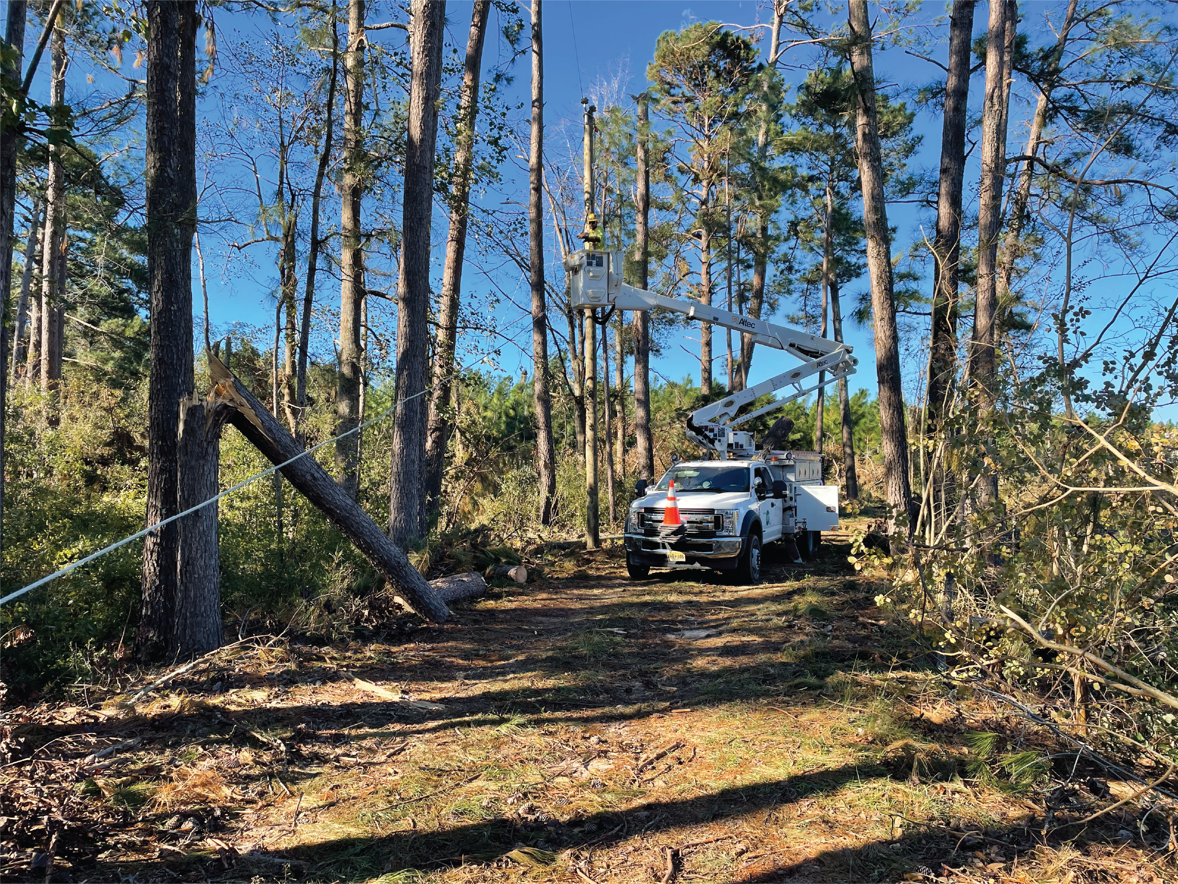 A Sussex REC lineman works in the bucket of a linetruck among the broken trees in rural Georgia, following Hurricane Helene