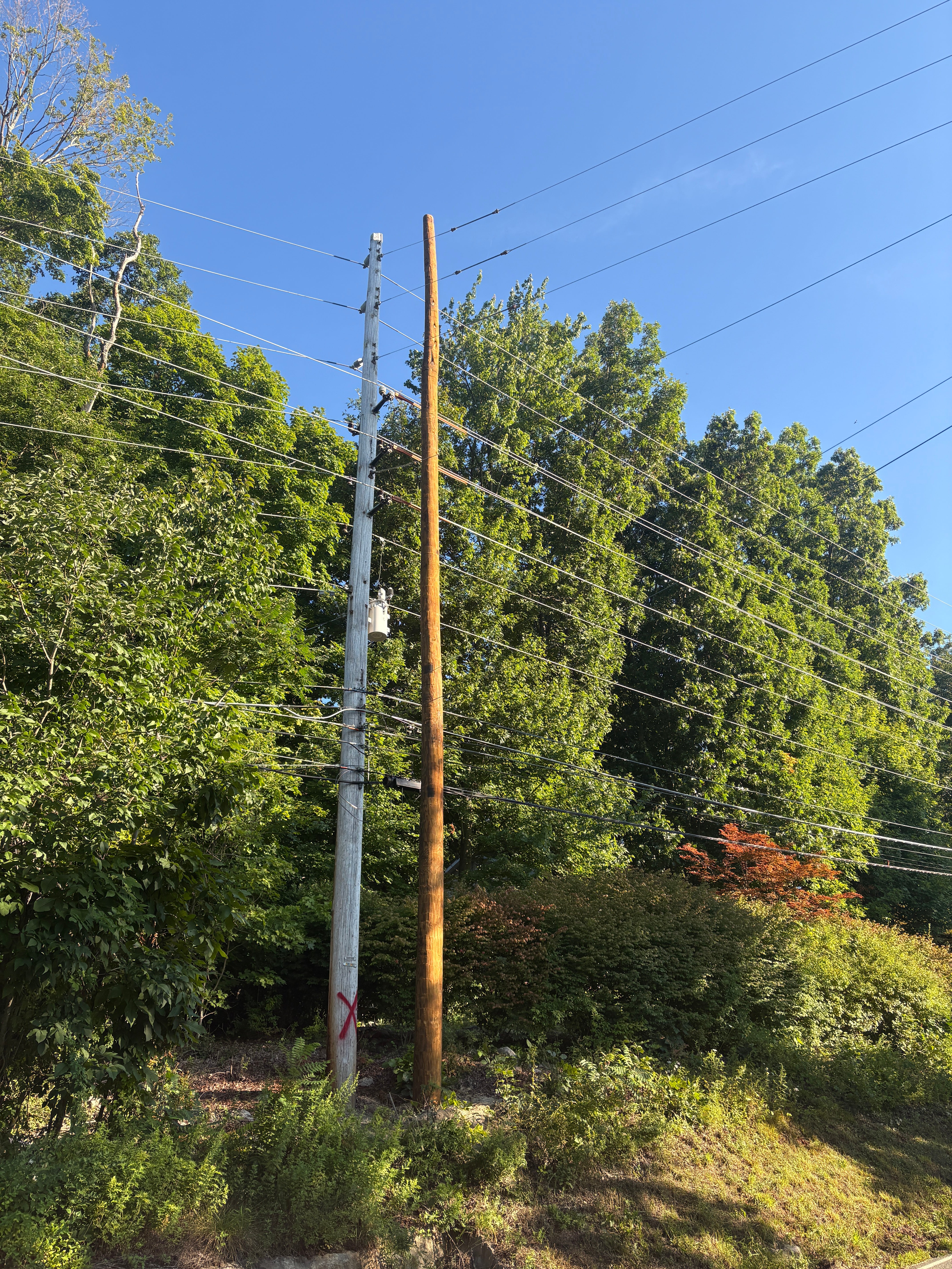 Photo showing the transmission pole off of Wawayanda Road in need of removal and the new pole set which will have the existing pole's wires transferred onto it