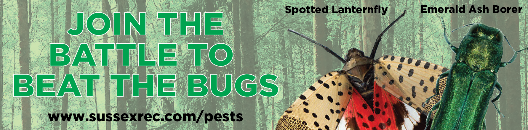 Image of a forest background with a spotted lanternfly and emerald ash borer in the foreground. Text reads: "JOIN THE BATTLE TO BEAT THE BUGS - www.sussexrec.com/pests"