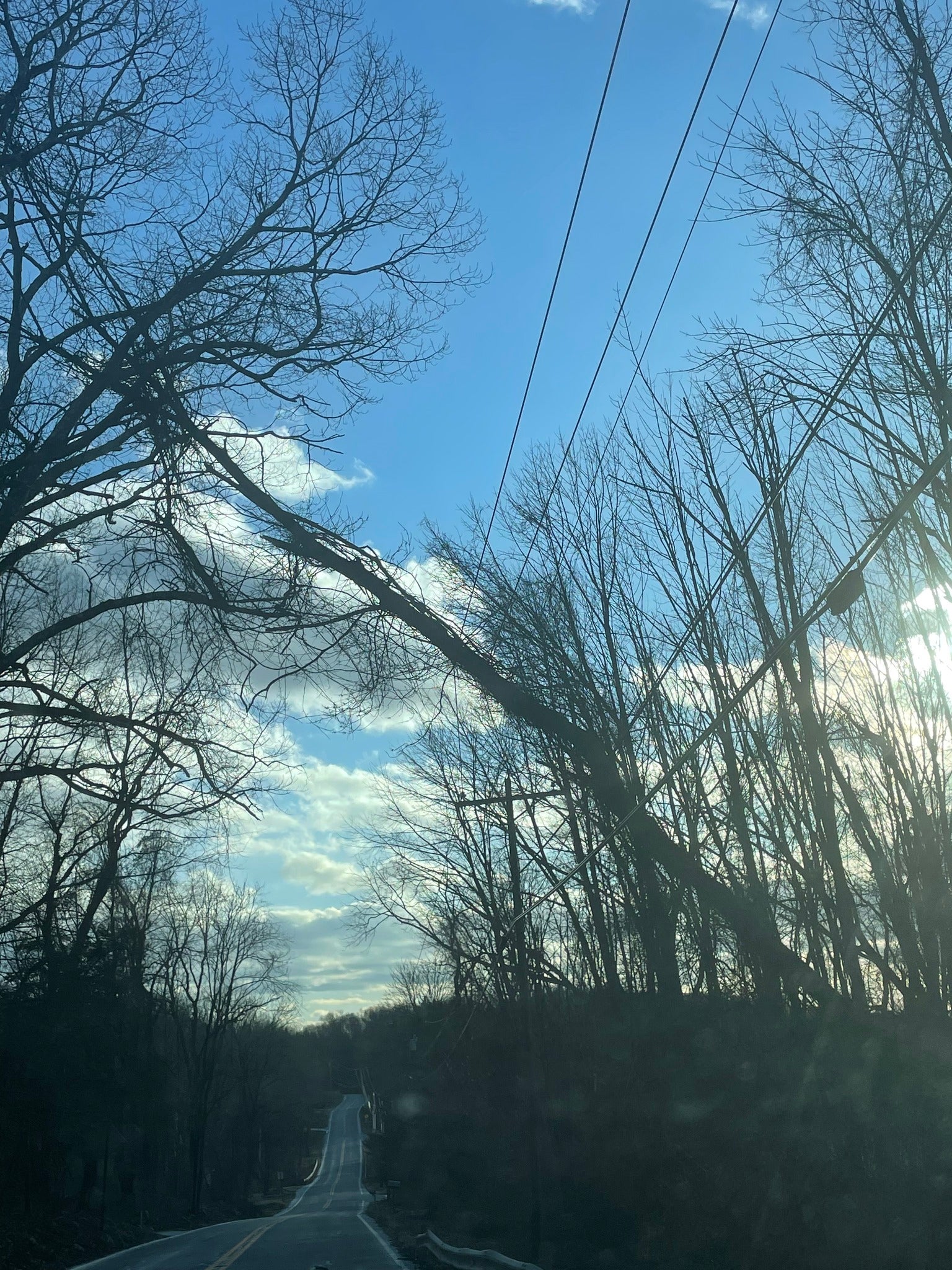 Tree fallen onto power lines on Lake Wallkill Road, January 8, 2025