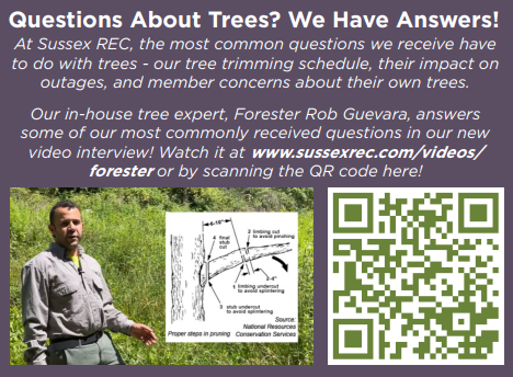 Questions About Trees? We Have Answers! At Sussex REC, the most common questions we receive have to do with trees - our tree trimming schedule, their impact on outages, and members concerns about their own trees. Our in-house tree expert, Forester Rob Guevara, answers some of our most commonly received questions in our new video interview! Watch it at www.sussexrec.com/videos/forester or by scanning the QR code here!