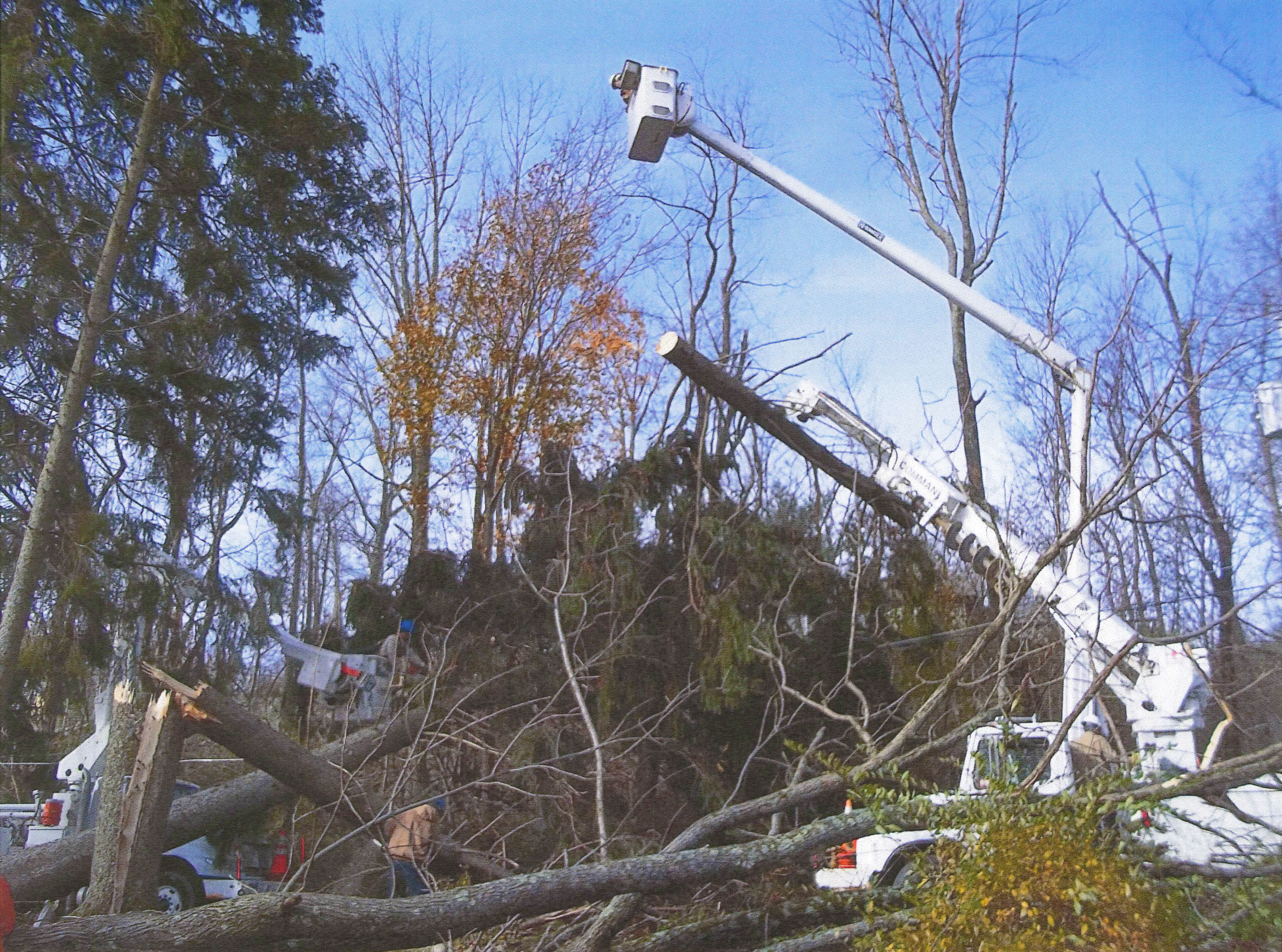 An SREC bucket reases high into the air over a large fallen tree