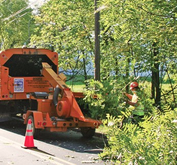 Asplundh Tree Experts feeding trimmed branches into a wood chipper