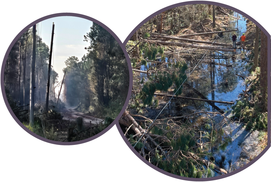 Photos showing the extent of the damage caused by Hurricane Helene in rural Georgia