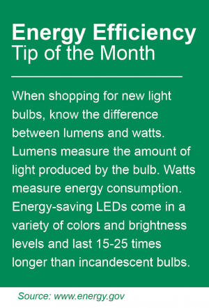Energy Efficiency Tip of the Month: When shopping for new light bulbs, know the difference between lumens and watts. Lumens measure the amount of light produced by the bulb. Watts measure energy consumption. Energy-saving LEDs come in a variety of colors and brightness levels and last 15-25 times longer than incandescent bulbs.