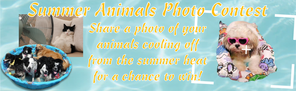 Summer Animals Photo Contest_0.png