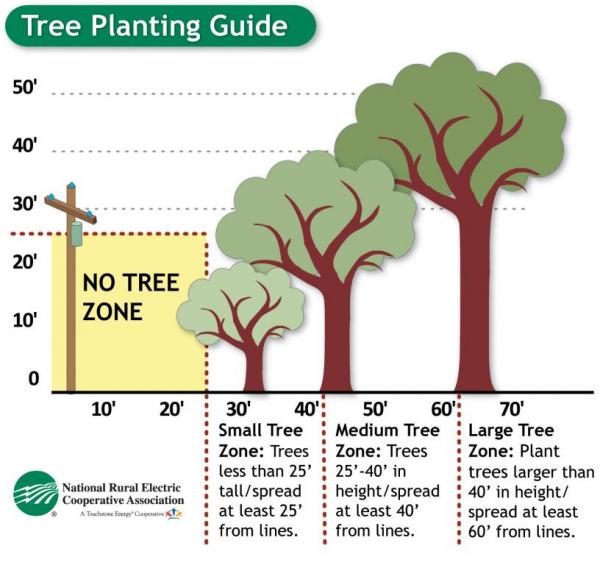 Tree Planting Guidelines