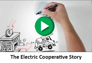 The Electric Cooperative Story