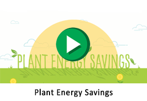 Plant Energy Savings.png