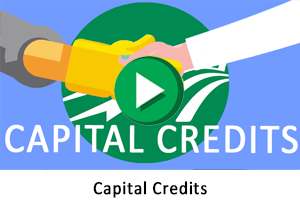 Capital Credits animation